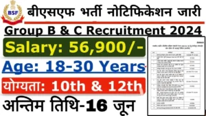 BSF Vacancy 2024