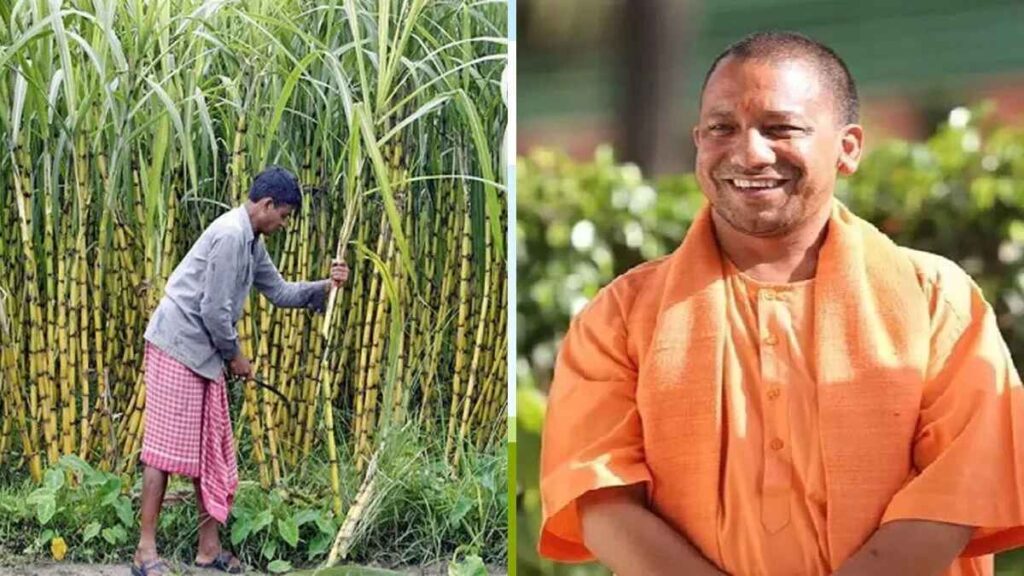 UP government made a big announcement for sugarcane farmers